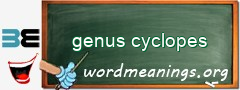 WordMeaning blackboard for genus cyclopes